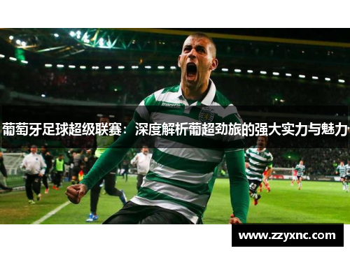 葡萄牙足球超级联赛:深度解析葡超劲旅的强大实力与魅力 葡萄牙足球超级联赛:深度解析葡超劲旅的强大实力与魅力